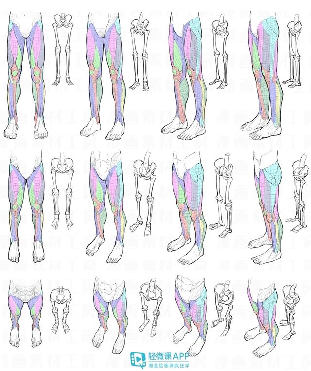 下面進入今天的主題:漫畫人體腿部教程的教程素材如果大家想要學習