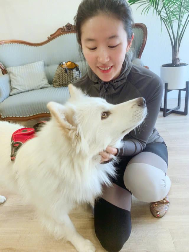 刘亦菲晒与猫狗合影爱心爆棚,纯素颜出镜脸上痘印可见,颜值耐打