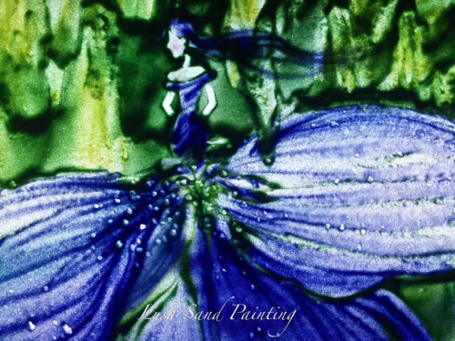 艺术家露莎彩色沙画艺术作品《花之季》带你走进大自然的神秘花园