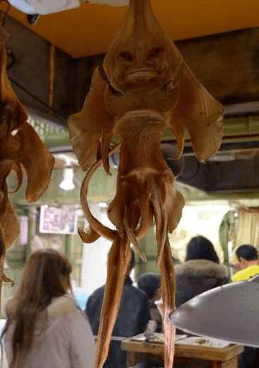 魔鬼鱼|鱼|画风_新浪新闻