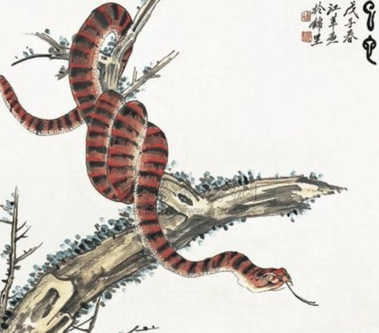 出生在这三个月的蛇人,蛇命很好,第一个最"不得了"