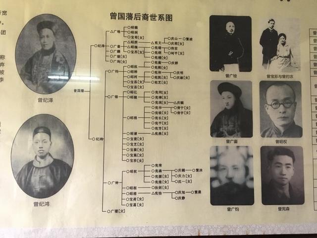 曾国藩后裔关系图直到1977年12月,曾国藩的曾外孙女俞大缜,在中过风又