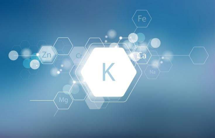 今日开始饮食的15种富含钾的食物