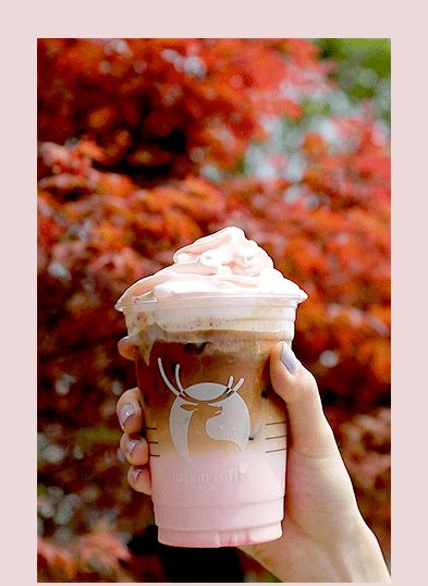 这家樱花拿铁也太太太太粉了吧