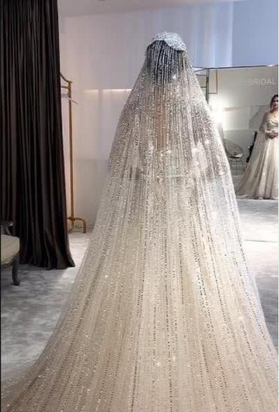 最奢华婚纱, 婚纱嵌满钻石, 家里有矿才能买得起!