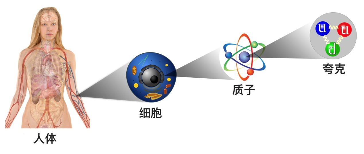 奇异粒子的夸克谱可能潜伏在宇宙中那为什么我们找不到它们