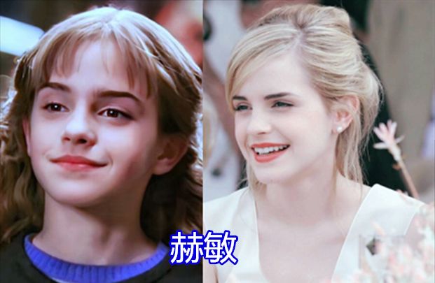 哈利波特长大后马尔福长大后赫敏长大后