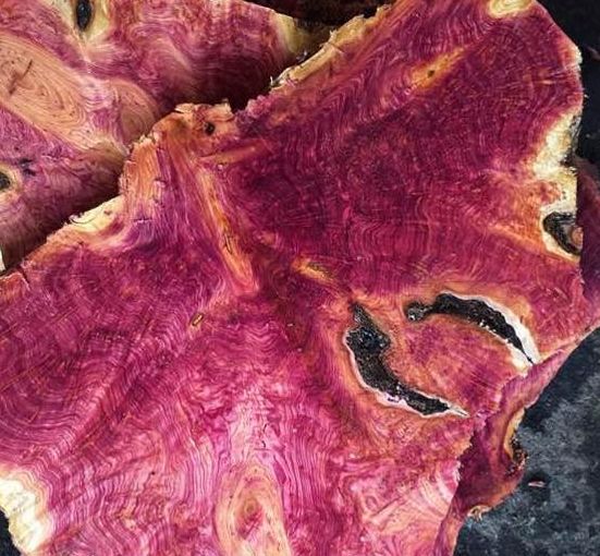 男子花五百块买了块烂木头以为是玉化崖柏,切开后才知道是血柏