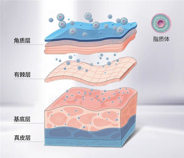 科技为先,用户为本,素晴茜开创脂质体护肤新体验