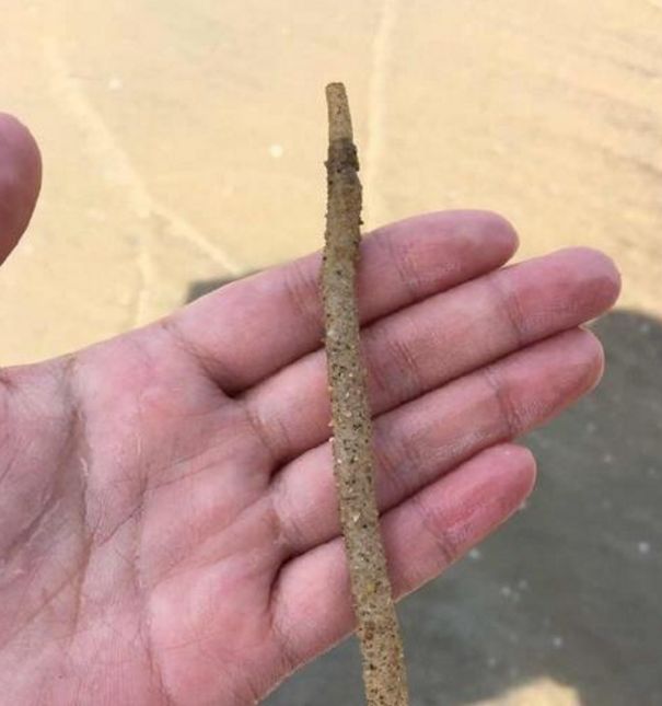 男子沙滩上拔了一根木棍,询问当地人有什么用时却遭到了警告