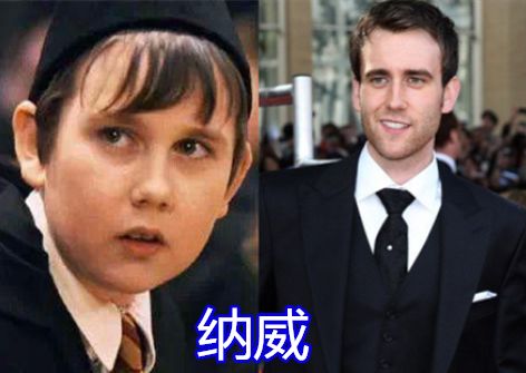 哈利波特长大后马尔福长大后赫敏长大后