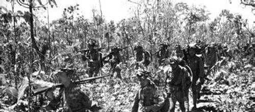 野人山有多恐怖?4万人进1万人出