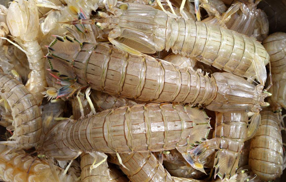 蒸皮皮虾究竟需要几分钟牢记两个小技巧皮皮虾最肥美