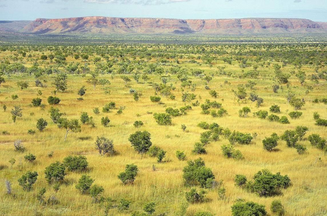 为什么非洲东南部沿海地区,并没有形成"热带雨林气候"?
