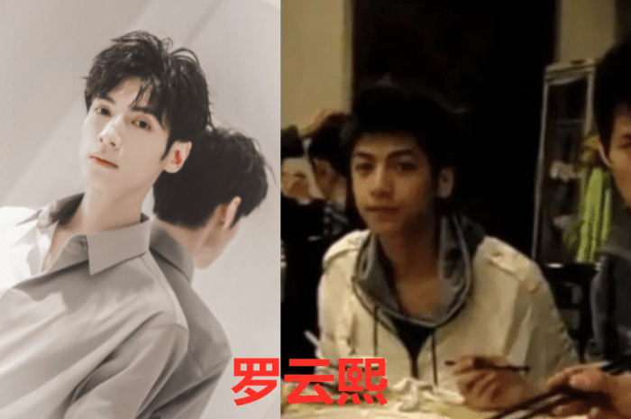 上面这个就是罗云熙,其实他在娱乐圈里面出道已经很长一段时间了,但是