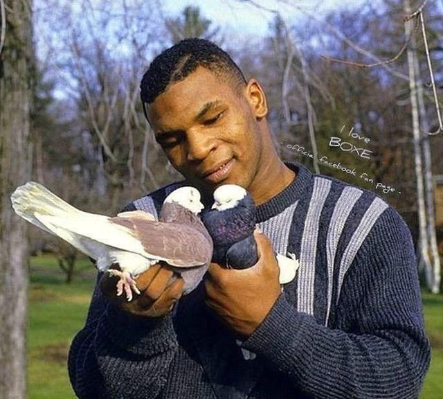 被拳王泰森一拳打抽搐