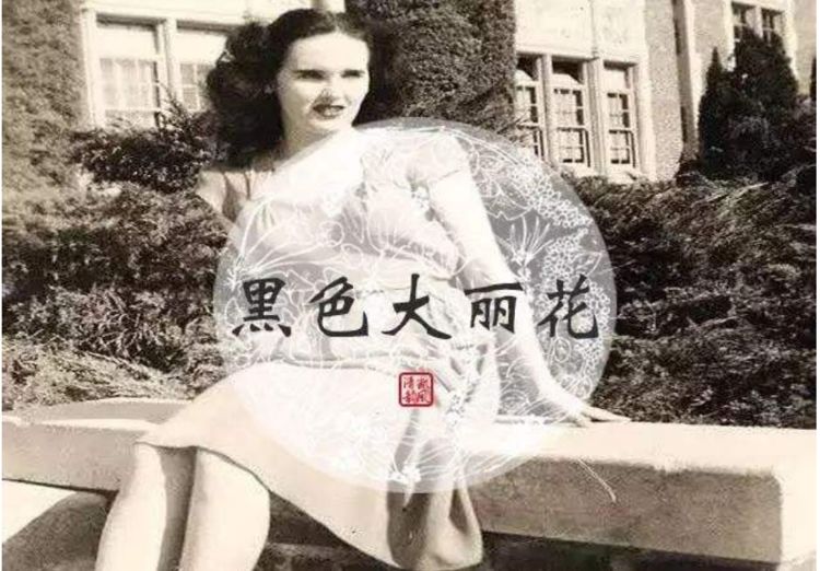 真相往往很是致命|蓝可儿|塞西尔|酒店_新浪新闻