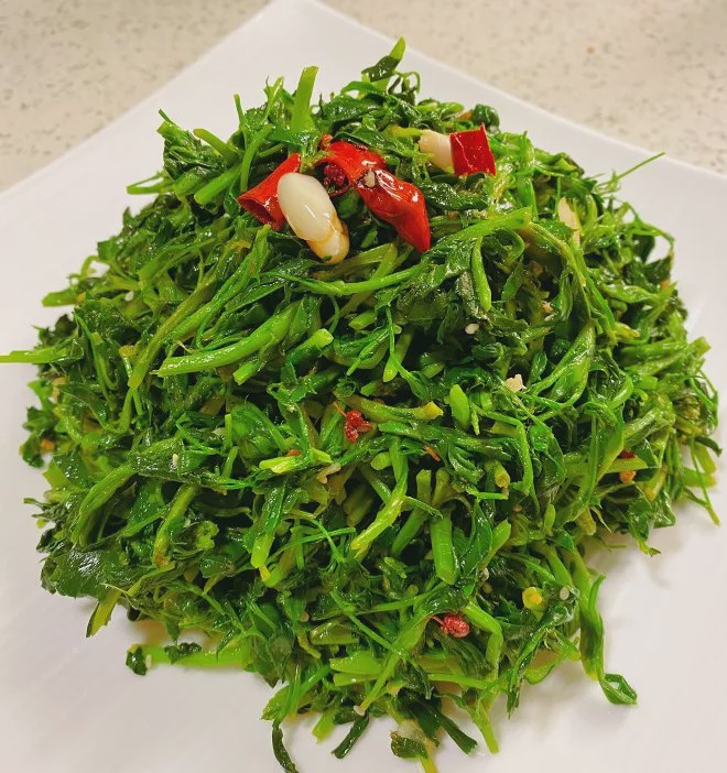 春天野菜赛过肉这5道菜水嫩又鲜甜趁着这个季节感觉尝尝鲜