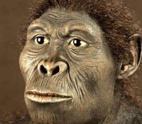 科学家给出答案|猿猴|地球|进化_新浪新闻