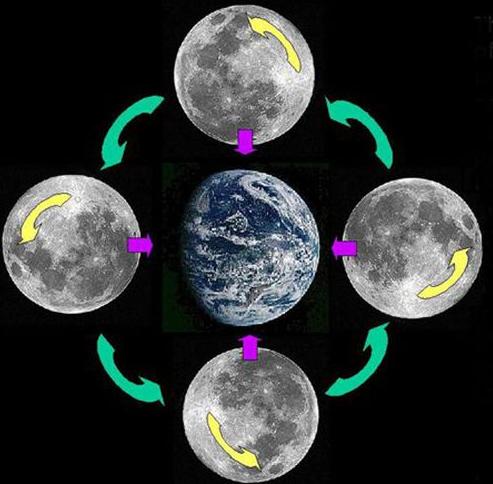 潮汐锁定就是指月球盯着地球的这种现象,原理就是引力也是有着影响