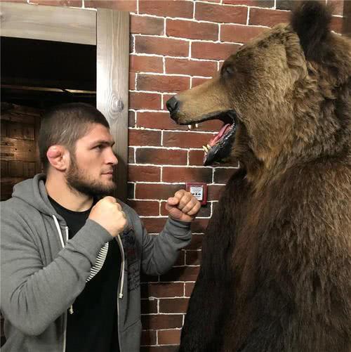 小鹰痛骂嘴炮:ufc让我和他重赛,我拒绝了,因为他不配