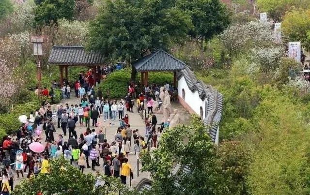 正文 櫻花公園:又稱贛南客家名人公園,位於江西省贛縣區梅林鎮