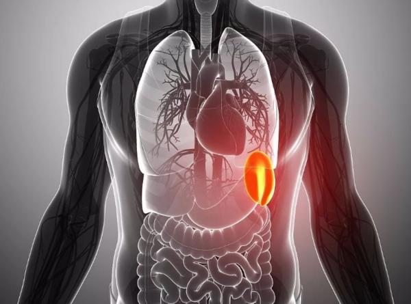 运化功能障碍所表现的腹部疼痛,喜温喜按,泻下清稀,四肢不温和脾气虚