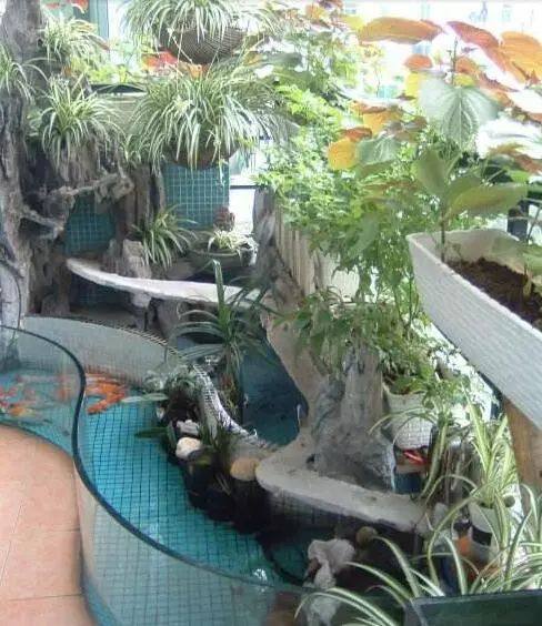 还买啥鱼缸,在阳台上砖砌一个鱼池,漂亮又拉风!