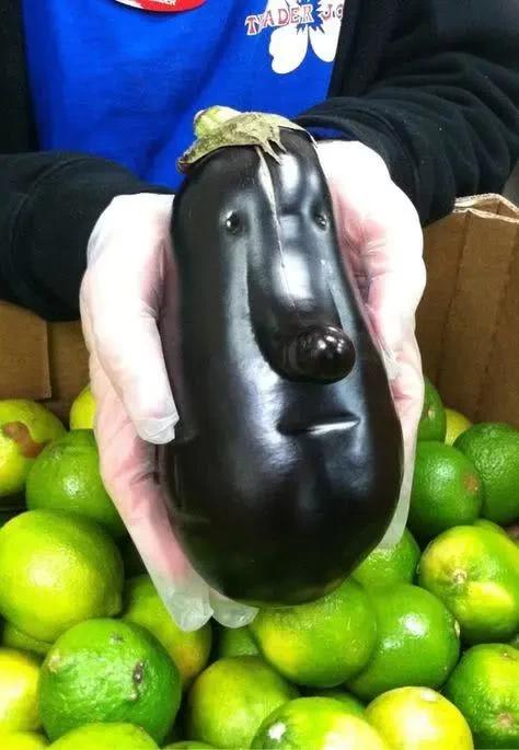 10张活久未见的蔬菜照,黄瓜你长的这么任性,"白素贞"知道么