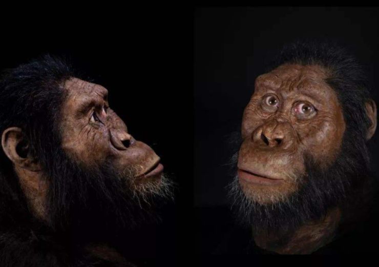 人类的进化史并不完整中间缺失13万年这个时间段发生了什么