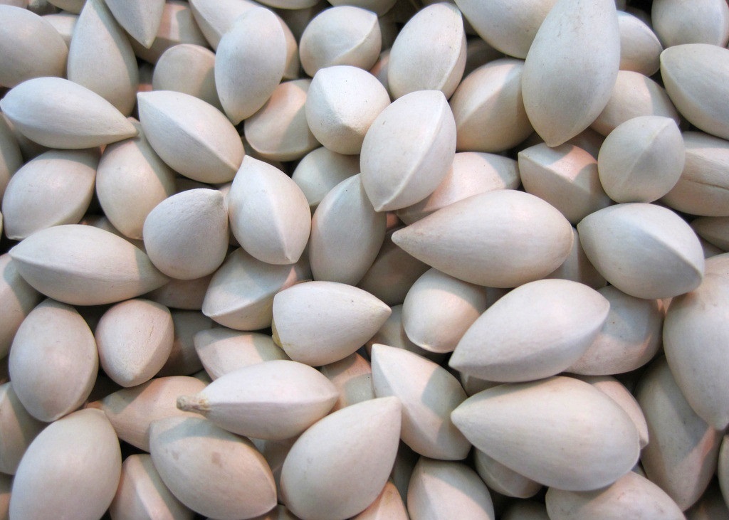 白果因为里面含有大量的白果酸,所以它也具有杀菌消炎的功效,被称为