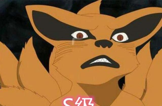 火影:幼年尾兽能有多萌?九尾s级,它sss级有嘟嘟脸