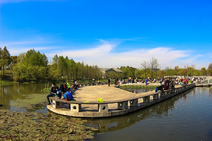清明假期上海闵行文化公园游客满园!感受阳春三月里久违的清爽!