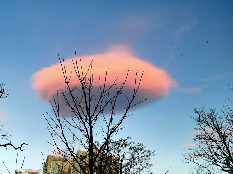 背景上空出现"筋斗云",真是太美了,网友:这其实是外星飞船吧