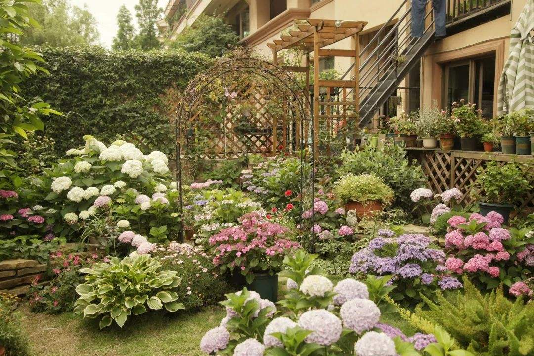 等我50岁了,我想有个小院子,春见萌芽,夏至繁花