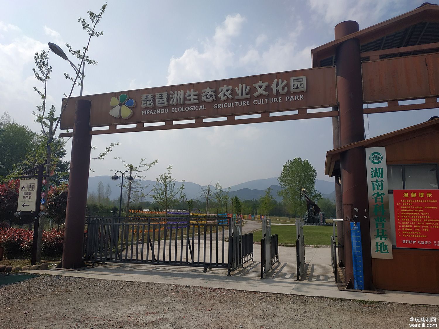 清明时节重游慈利琵琶花海心情更舒畅充满正能量