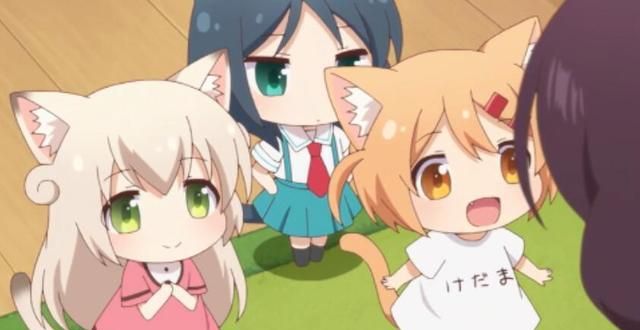 这个猫咪表情包很多人都用过却少有人知它出自哪一部动画