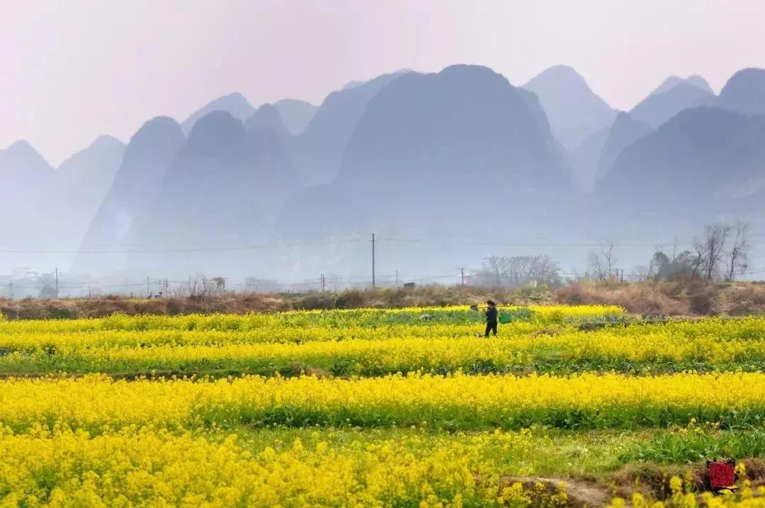 桂林的春天,已经悄悄把摄影师逼疯了