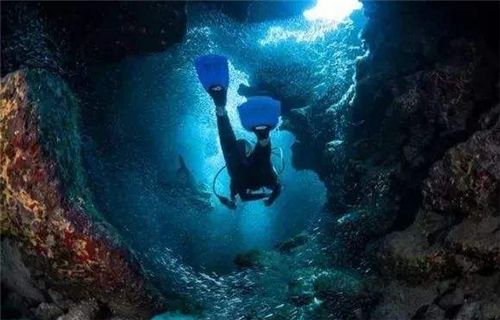 海南发现72座海底村庄,至今还有50人生活在海下,咋活下来的?