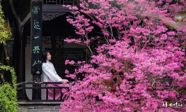 江苏最清廉的名人故居，仅有区区6间房，一株红花成亮点