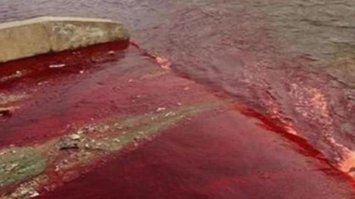 传说中的"血雨",现实中下了整整2个月,天空都被染成了红色