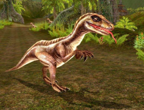 什么是美颌龙类呢?