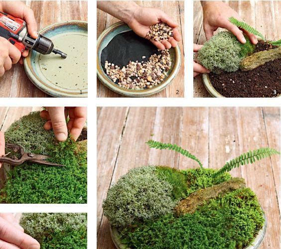 独家秘笈:苔藓盆景的制作步骤,别人我不跟他说