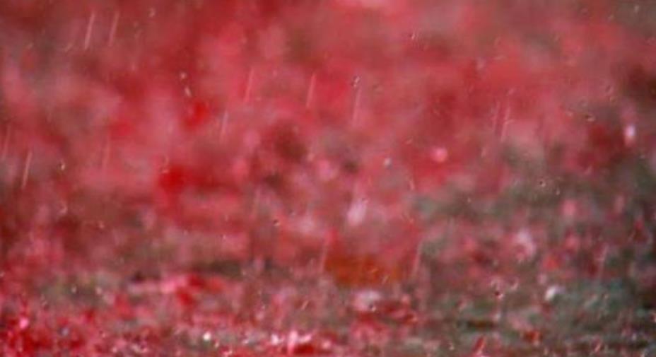 传说中的"血雨",现实中下了整整2个月,天空都被染成了红色