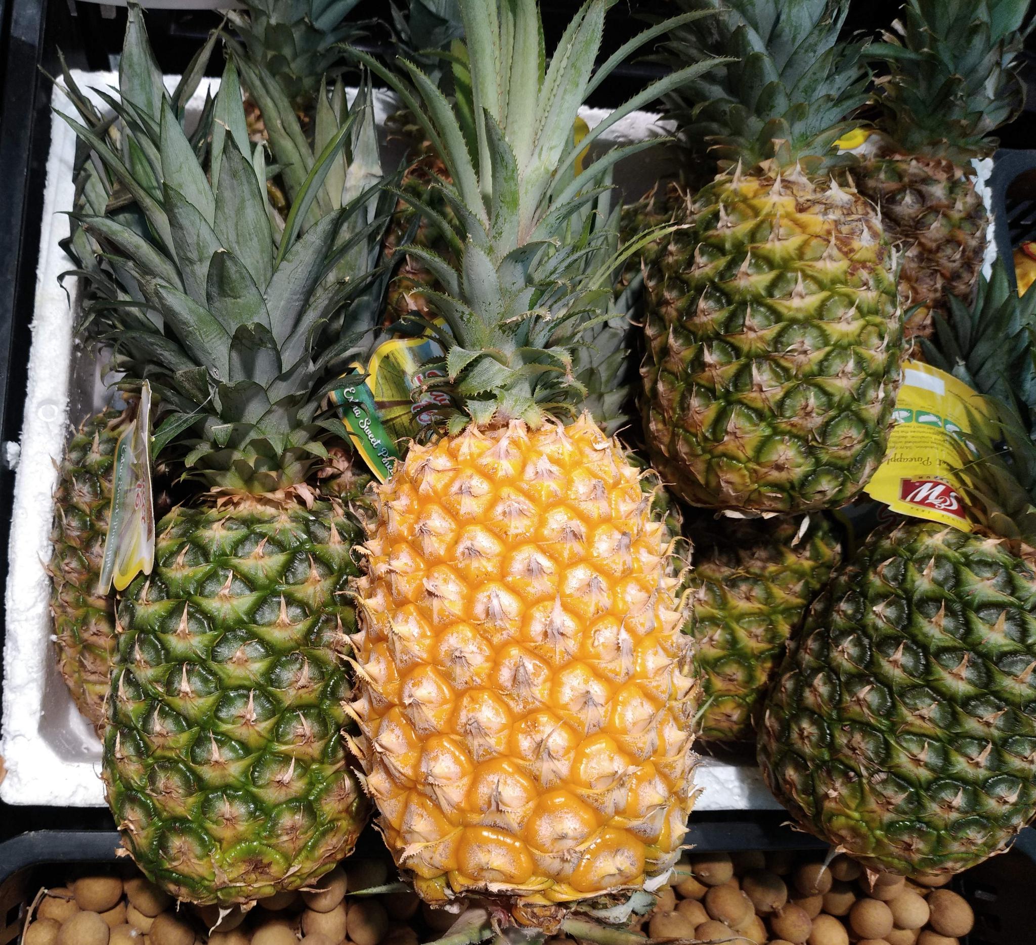 菠萝凤梨傻傻分不清?教您一招从"顶端这个位置"一秒区分出来