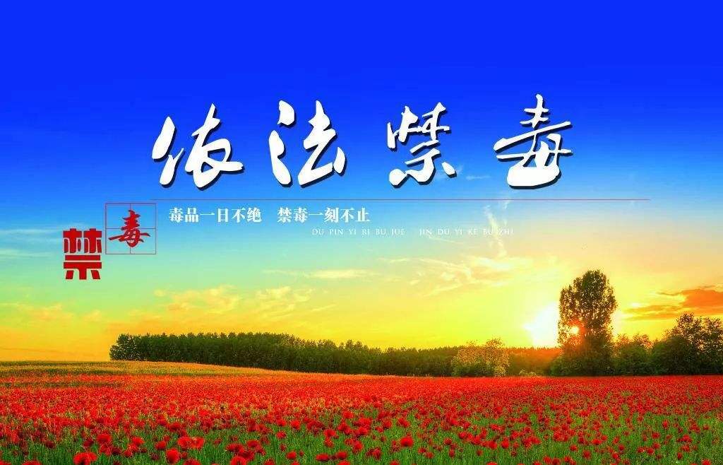 禁种铲毒 人人有责 兴县禁毒委致全县广大居民的禁种铲毒倡议书
