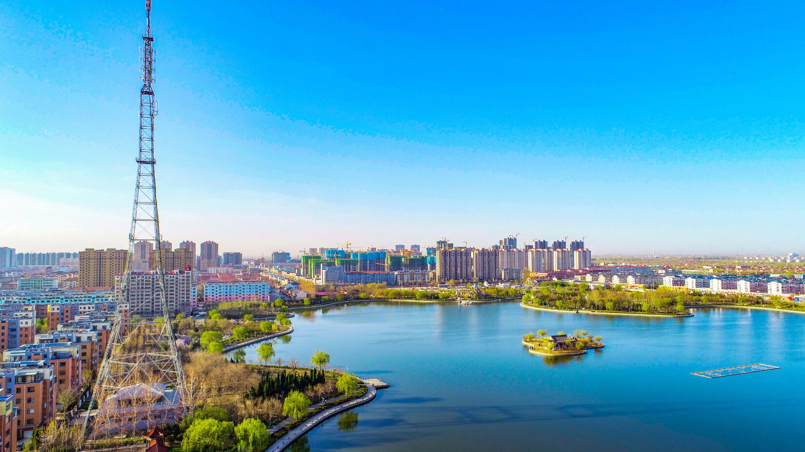 美丽德州丨庆云花海惹人醉