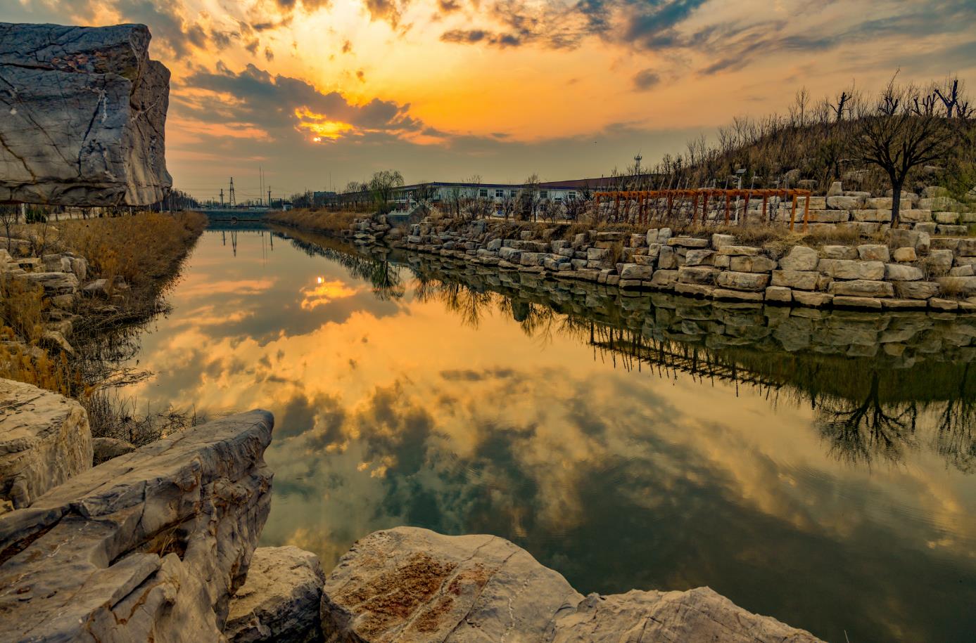 美丽德州丨庆云花海惹人醉