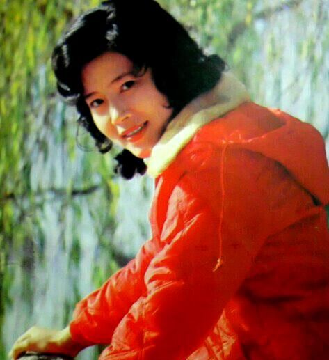 岁月如影相随1980年代的八十位电影明星星光依旧灿烂