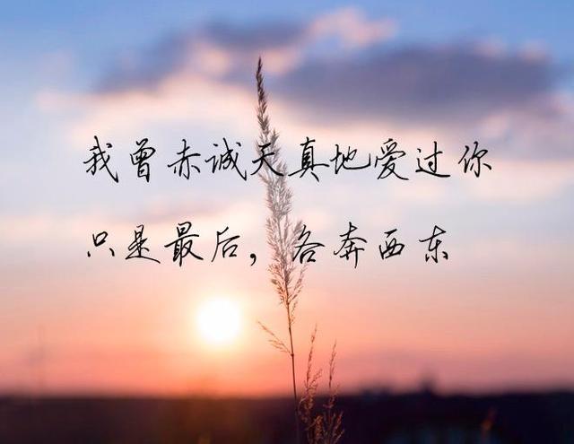 冥冥之中,有些事,注定是劫,不是缘